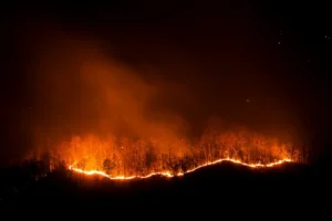 Incêndios florestais no Brasil em 2024: recordes preocupantes e ações necessárias