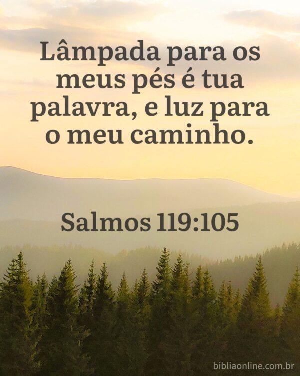 IMG-20251228-WA0002 Agradecemos a Todos pela ajuda. Que Deus abençoe grandemente.