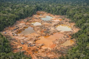 Lavagem de ouro ilegal na Amazônia